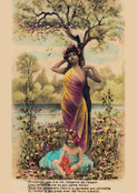 Danse florale sous le ciel printanier